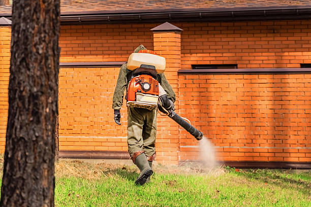 Trusted Bed Bug Control service in Chesnut Hill, PA - Nex Pest Control